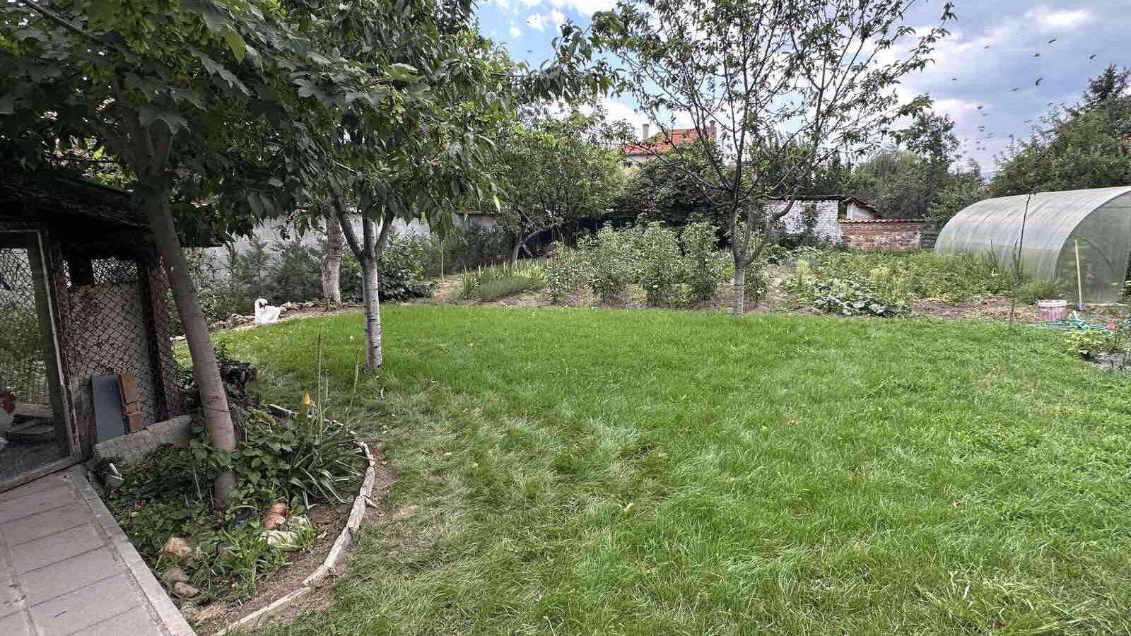 Затревяване и тревни площи